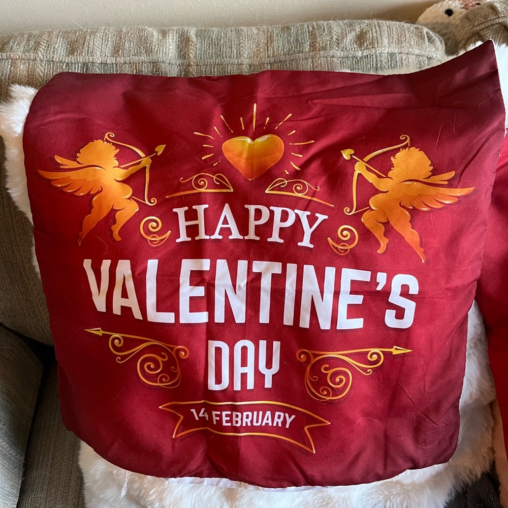 Silky, soft satin like 18 inch pillow covers For V day